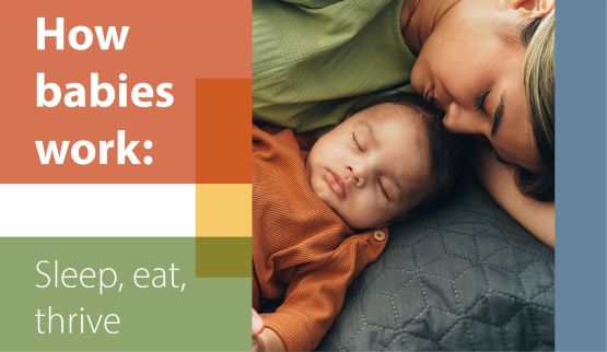 How Babies Work: Sleep, Eat, Thrive
