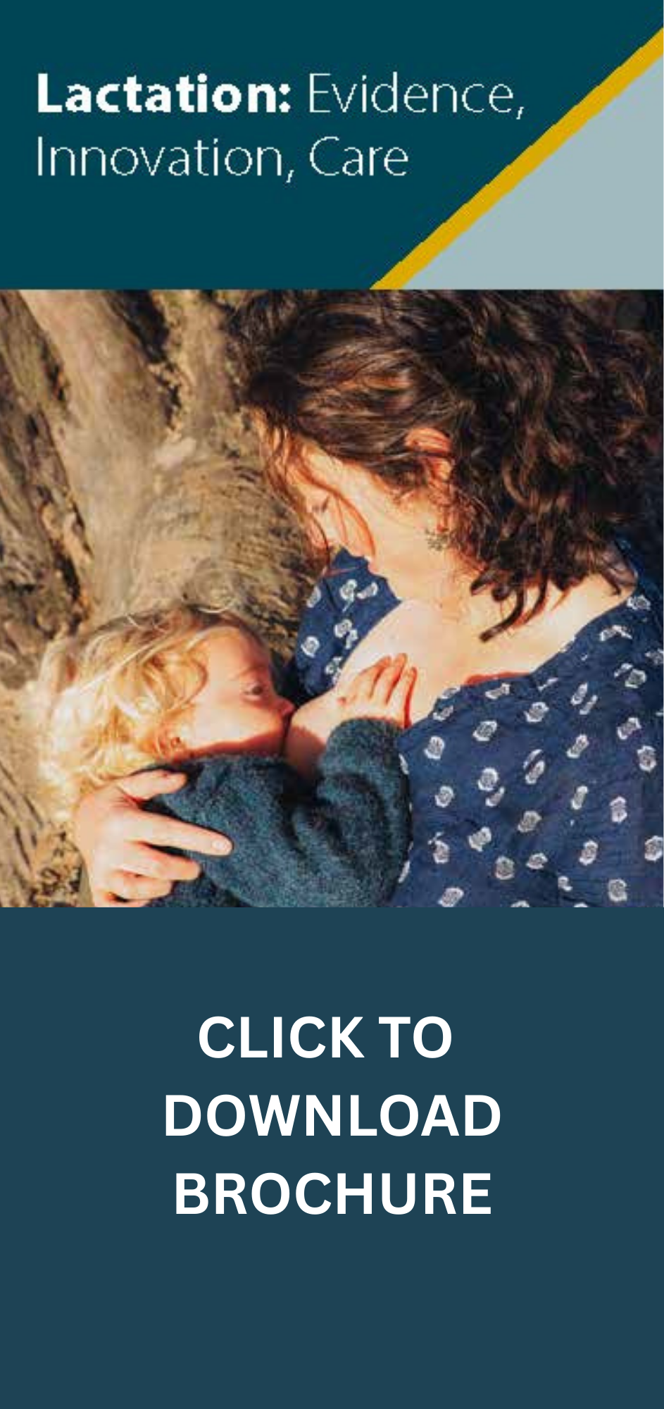 All Days - 23rd & 24th February 2026   <small class='full-price'>Full Price US$331</small> Brochure